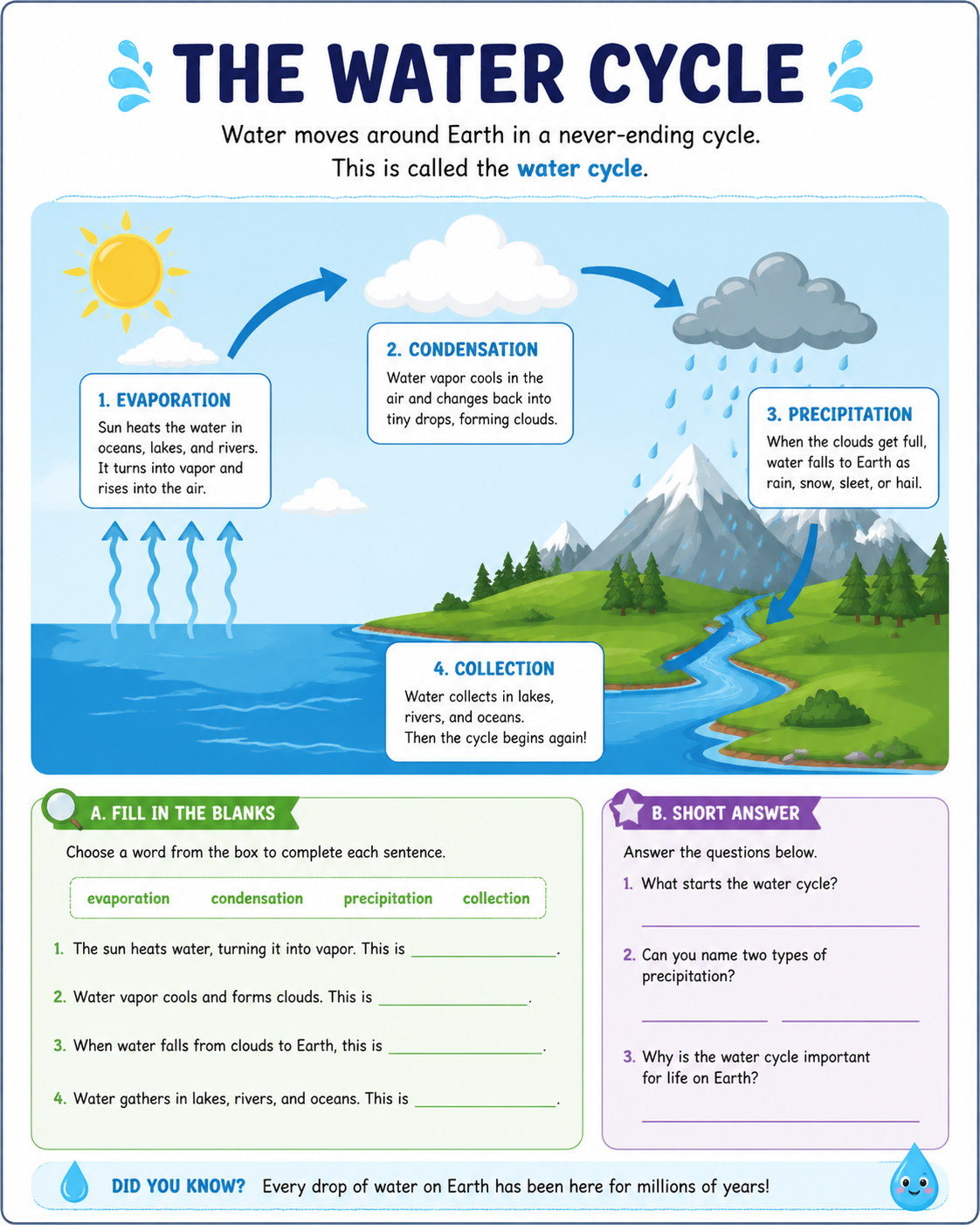 Science worksheet page